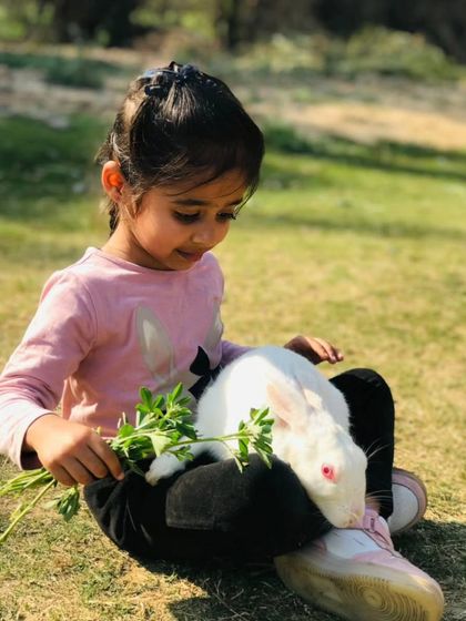 Farmus - Private Parties & Events Our Furry & Feathered Friends photo 26