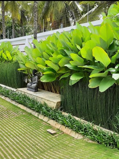 Residential Gardens & Courtyards photo 8