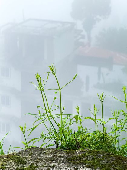 Garima Bhaskar - Photography Services Travel Diaries: Global & Local photo 91