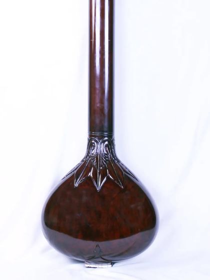 Tanpuras and Tanpuris photo 28