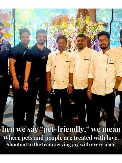 PawsnCollars - Pet-Friendly Café Our Paws & Collars Family photo 11