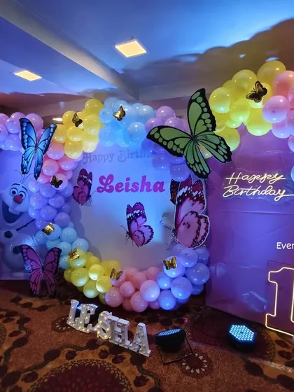 Another view of the Frozen-butterfly theme, showing the arrangement of characters and balloons.