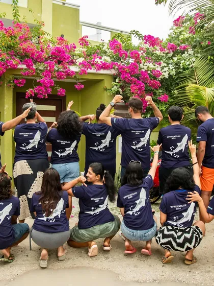 The back of our custom trip shirts for the Fuvamulah expedition. A great souvenir to remember all the tiger sharks we saw.