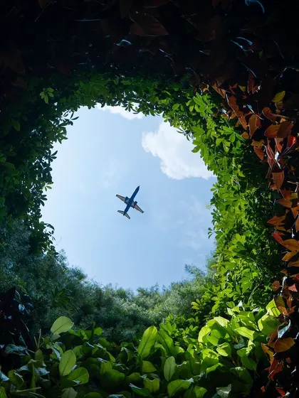 This is a view from within the 'Plastreen' installation, looking up at the sky. We created this structure from thousands of waste plastic bottles to raise public awareness about sustainability, contrasting the plastic waste on the outside with the living green wall inside.
