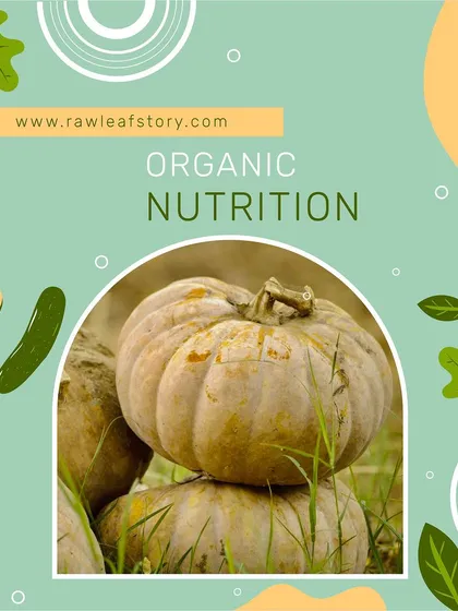 These beautiful organic pumpkins (kaddu) are grown in the open field, soaking up the sun. They are packed with nutrients and are a staple in many Indian kitchens.