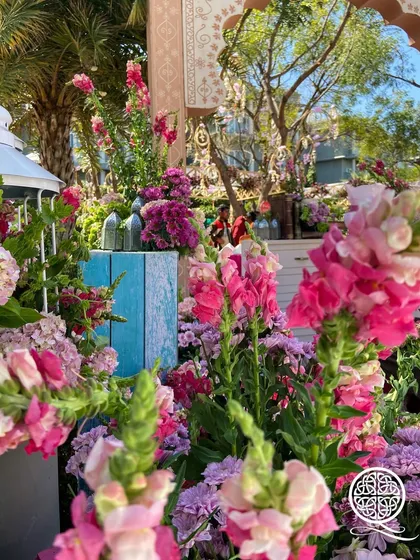 A close-up from the 'City of Flowers' event, showing a mix of pink, purple, and white snapdragons, hydrangeas, and other blooms, creating a lush, garden-like feel.