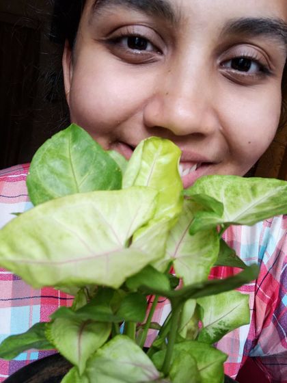 A Splash of Color: Flowers & Foliage photo 17