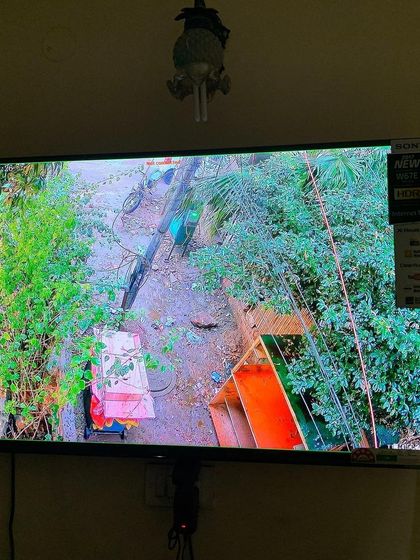 Another high-quality view from a single camera, capturing the details of a garden area.