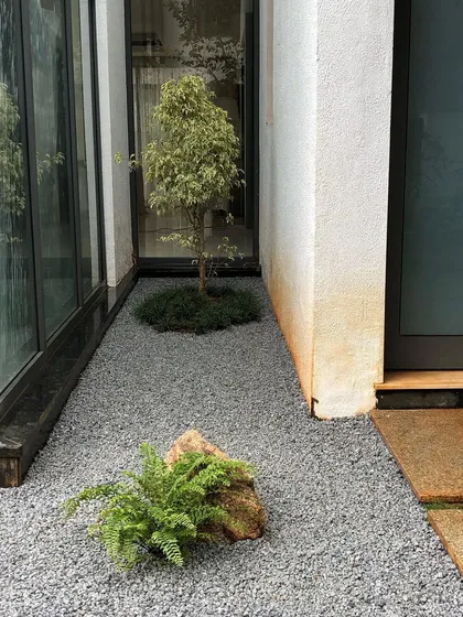 Sometimes, the most impactful change is simplification. We transformed a narrow, overgrown passage into this serene, Japanese-inspired dry garden. The clean lines of the gravel, a single Benjamin Ficus tree, and a solitary fern create a moment of calm and require minimal upkeep.