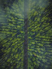 Photography Promotion & Feature