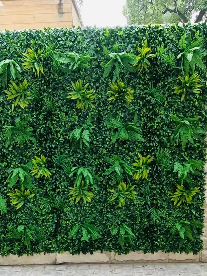A close-up of a dense green wall, showcasing the variety of leaf shapes and shades of green used to create a realistic, jungle-like effect.