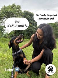 Handmade Pet Accessories