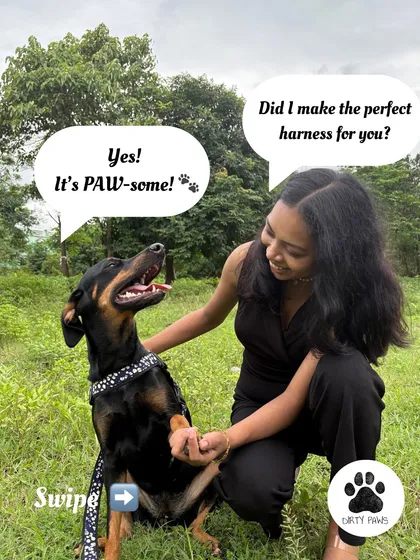 This is what Dirty Paws is all about. A happy dog, a loving owner, and a comfortable, stylish harness that's ready for any adventure. I started this brand for my own dog, and I'm so happy to share that love with you.