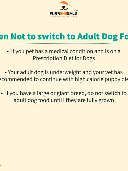 When should you switch from puppy to adult dog food? This guide explains how breed size, neutering, and growth stages affect the timing, ensuring your dog gets the right nutrition at the right time.