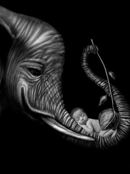 An example of highly creative digital art, where a newborn is composited into a scene of being gently held by an elephant's trunk.