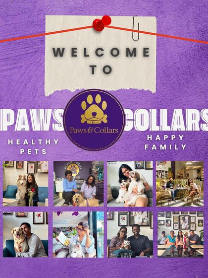 PawsnCollars - Veterinary Care Our Story & Our Team photo 9