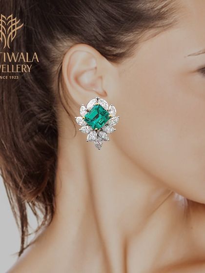 Exquisite Earrings photo 36