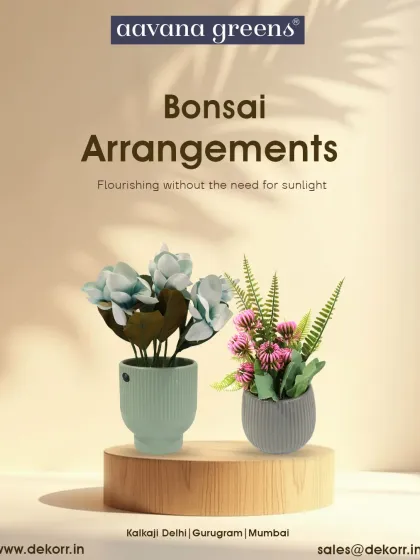 Flourishing without the need for sunlight. These small bonsai-style arrangements are perfect for adding a pop of color and a touch of nature to your desk or shelf.