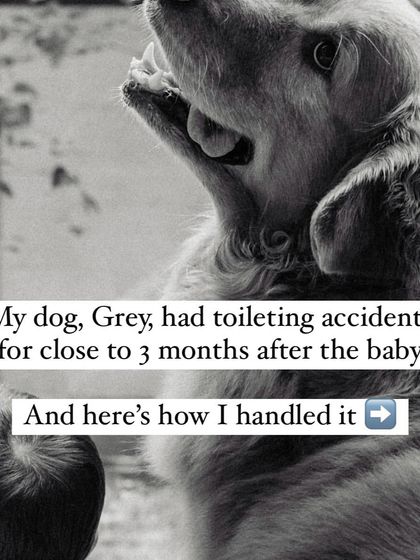 Nitika Ahlawat - Dog and Child Safety & Integration Our Family Album photo 18