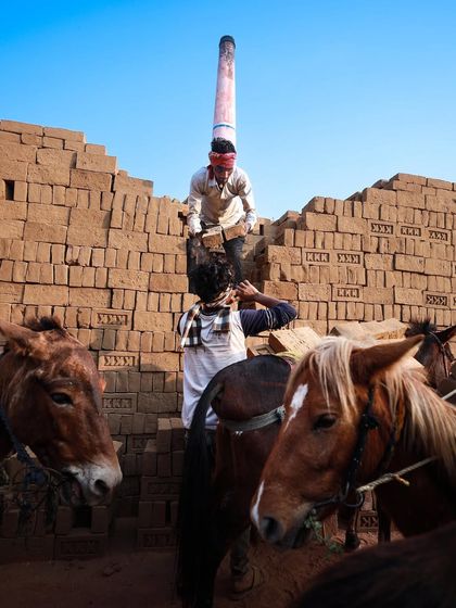 A colorful scene of workers and mules at a brick kiln in Bihar, capturing the bustling activity and teamwork required for the job.
