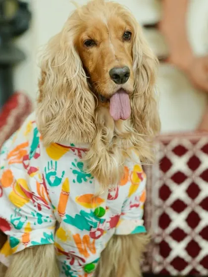 Posto looking handsome in his colorful Holi-themed kurta for the ceremony.
