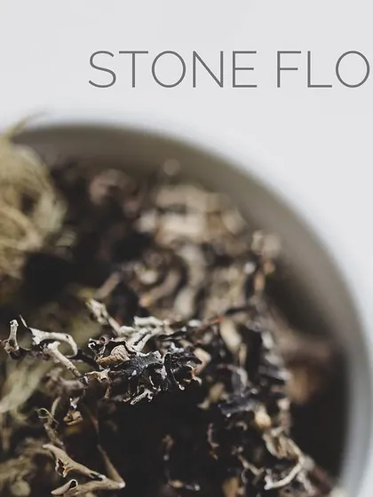 A macro shot of stone flower, a lichen that grows on rocks and adds an unmistakable umami depth to spice blends.