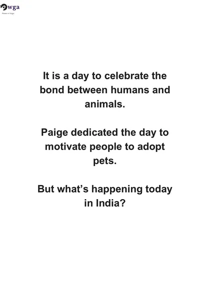 On International Dog Day, we ask a tough question: what is really happening for animals in India? We highlight the harassment faced by community feeders and the ongoing struggles.