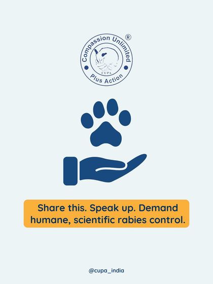 Cupa - Animal Cruelty Legal Aid & Advocacy Our Legal Fight for Animals photo 30