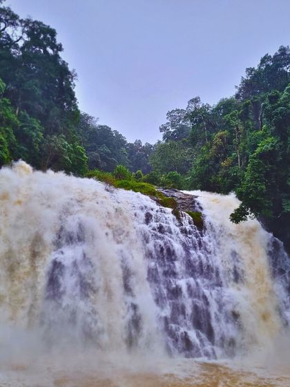 The raw power of Abbey Falls during the monsoon season. The roaring water and lush green surroundings are a feast for the senses.