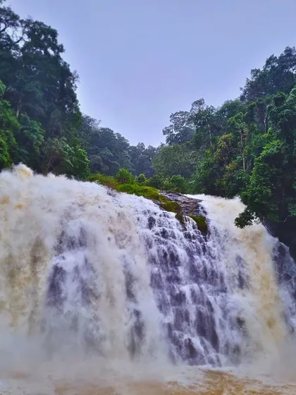 Abbey Falls in full flow during the monsoon. The sheer power and volume of the water at this time of year is a sight to behold.