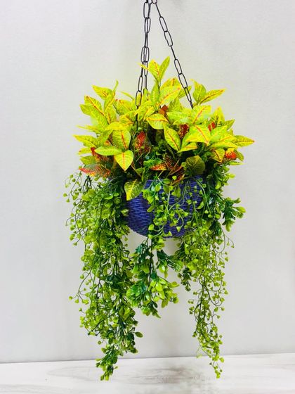 Hanging Greenery & Ceiling Decor photo 24