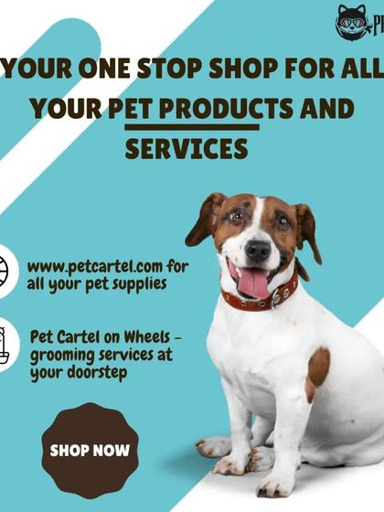Pet Cartel - Mobile Pet Grooming Pet Care Products & Advice photo 10
