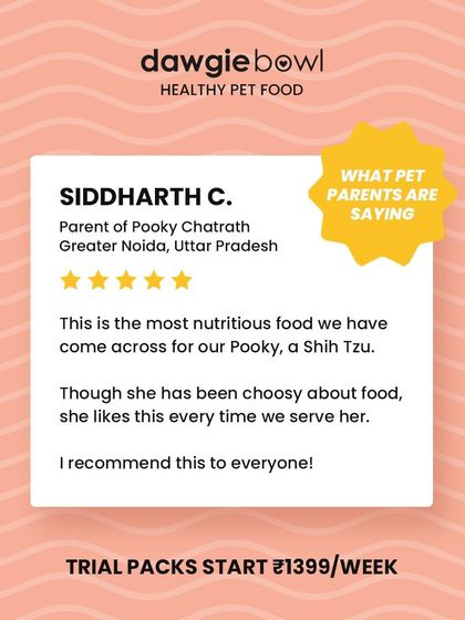 For a picky Shih Tzu to love her food every time is a huge win! I am thrilled that our nutritious recipes are recommended by pet parents as a solution for even the fussiest of eaters.