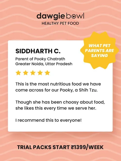 For a picky Shih Tzu to love her food every time is a huge win! I am thrilled that our nutritious recipes are recommended by pet parents as a solution for even the fussiest of eaters.