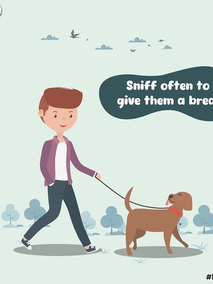 How to walk a hooman, part three: sniff often to give them a break. They seem to appreciate the pauses.