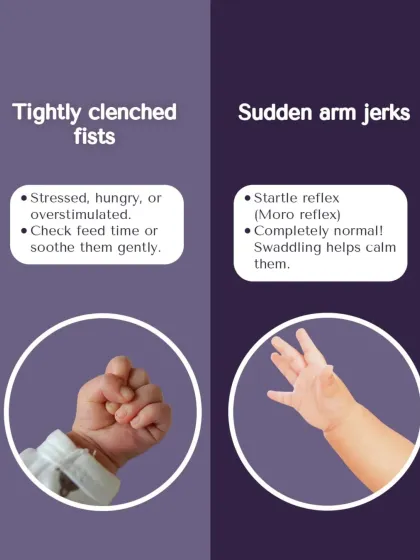 Tightly clenched fists can signal stress or hunger, while sudden arm jerks are a normal startle reflex. Swaddling can help.
