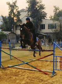 Show Jumping Training