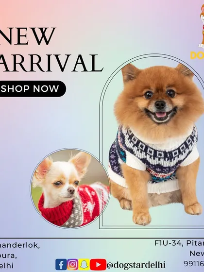 New arrivals for winter are here. Shop now to get these adorable and warm sweaters for your small and medium-sized dogs to keep them cozy all season long.