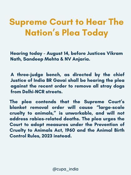 Cupa - Animal Cruelty Legal Aid & Advocacy Our Legal Fight for Animals photo 24