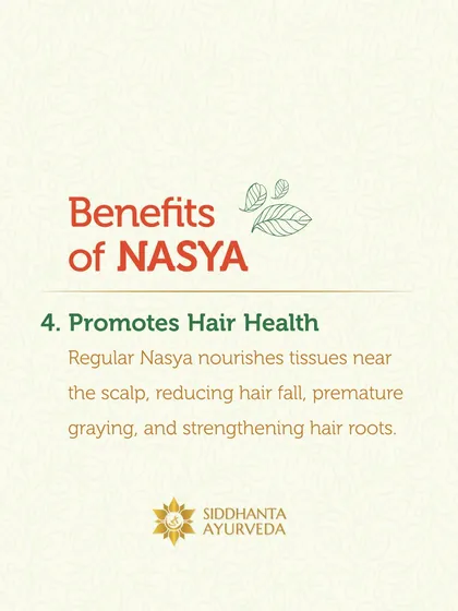 Nasya, the administration of herbal oils through the nasal passage, is a powerful therapy for hair health. It nourishes the tissues near the scalp, helping to reduce hair fall, prevent premature greying, and strengthen roots from within.