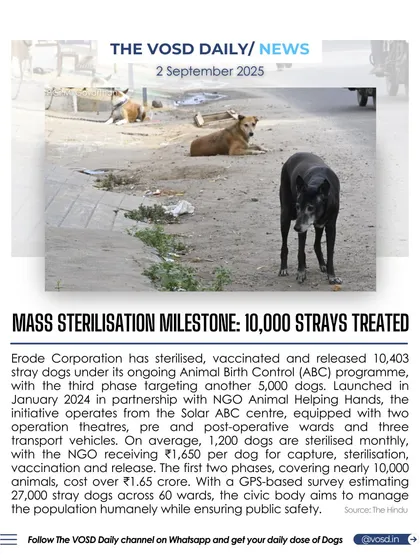 Erode Corporation has achieved a major milestone by sterilizing and vaccinating over 10,000 stray dogs through its Animal Birth Control program. This initiative aims to humanely manage the stray population and ensure public safety.
