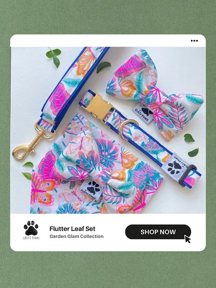 The Flutter Leaf set is perfect for pet parents who love vibrant, nature-inspired prints. This set includes a collar, leash, bandana, and bow.