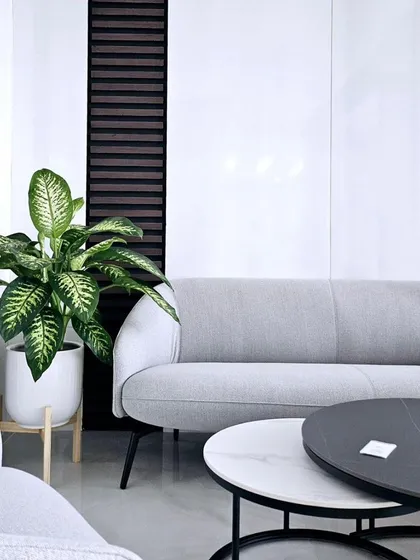 A Dieffenbachia plant in a modern white planter on a wooden stand complements the clean lines of this waiting area. It is an example of how a single plant can complete a minimalist design.