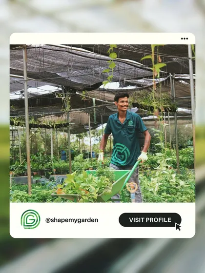 One of my happy team members at our nursery, surrounded by the thousands of plants we grow and care for. We are passionate about what we do.