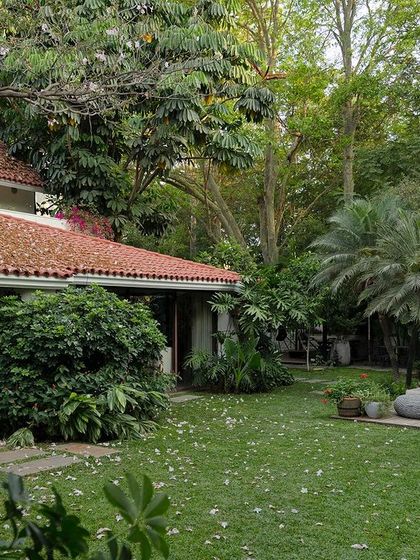 A sprawling lawn next to a modern home with a terracotta-tiled roof. The landscape design preserves mature trees and uses a large green expanse to create a sense of openness and tranquility.