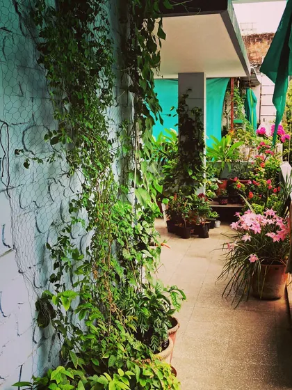 This is a little throwback to my green escape. I love turning a simple balcony into a lush jungle with climbers, potted flowers, and lots of greenery. It's my favorite spot to relax.