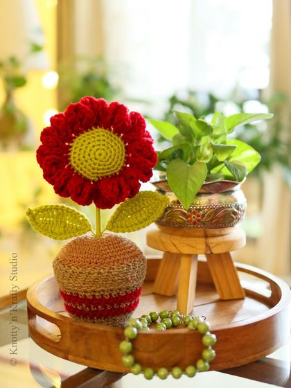 Parul Bhargava - Crochet Home Decor Items Everlasting Blooms & Potted Plants photo 12