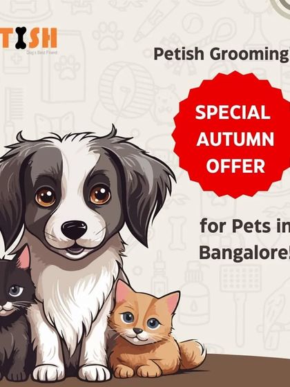Petish Grooming - Mobile Grooming for Dogs & Cats Special Offers & Festive Deals photo 17