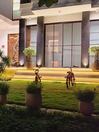 Landscaping and Garden Design