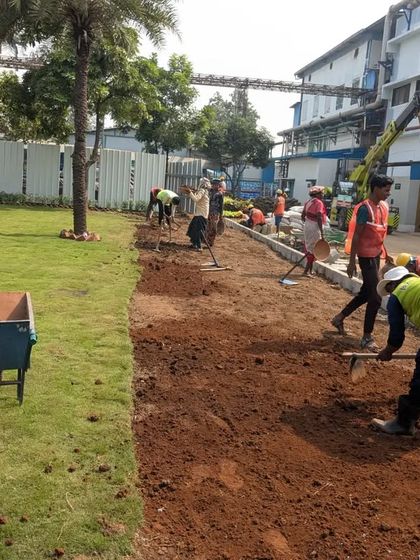 Large-Scale Lawn Installation photo 24